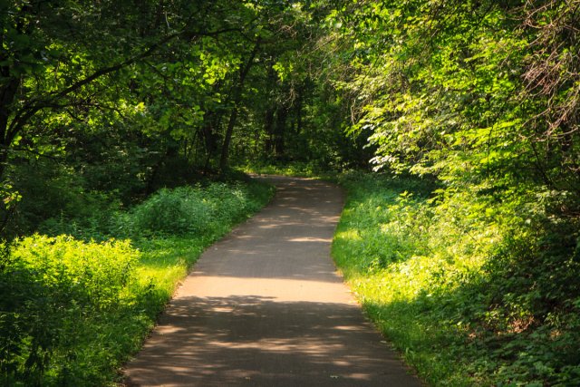 Another trail in Wild River State Park